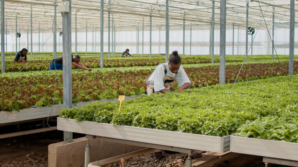 Agricultural Cooperatives and Exporters Biomaps Kenya